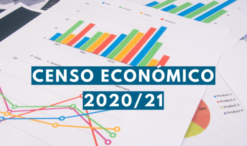 CENSO ECONOMICO 